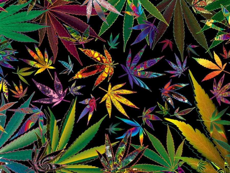 Download Free Stoner Background Weed Aesthetic Wallpaper MrWallpaper