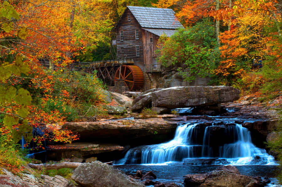 Stream During Early Fall Wallpaper