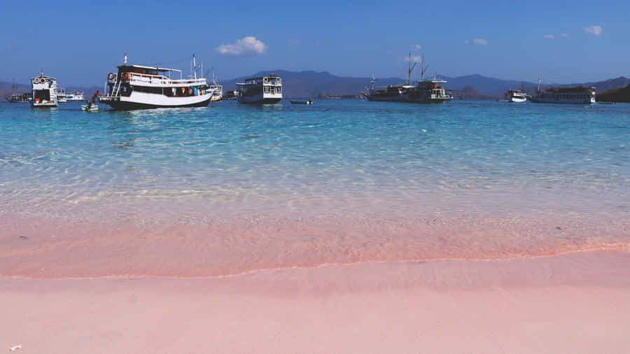 Stunning Pink Beach Paradise Wallpaper