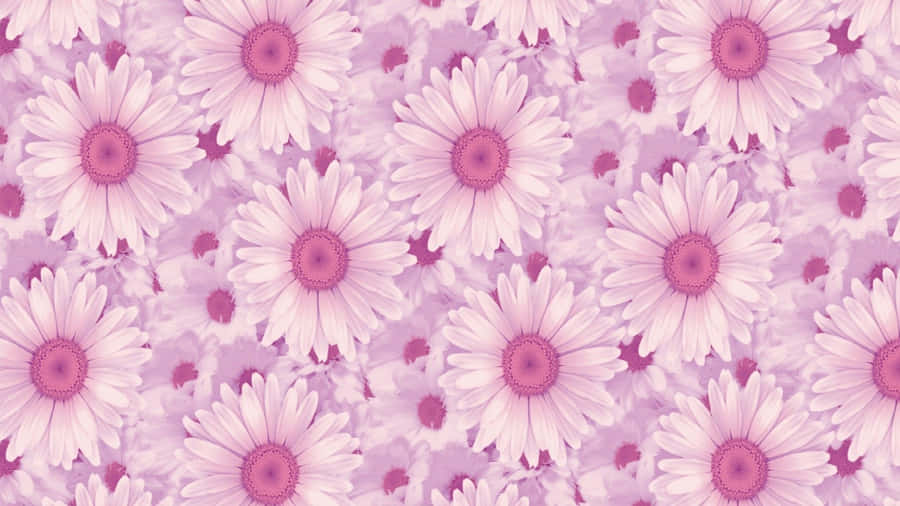 Stylish And Creative, This Lavender Aesthetic Laptop Is Perfect For Getting Things Done! Wallpaper