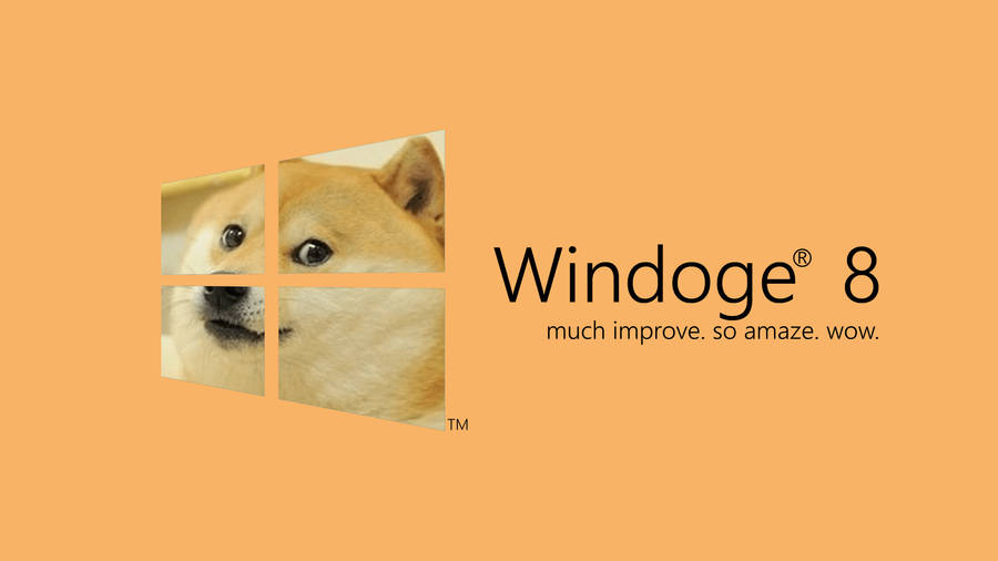 Such Fun, Much Enjoyment Wallpaper