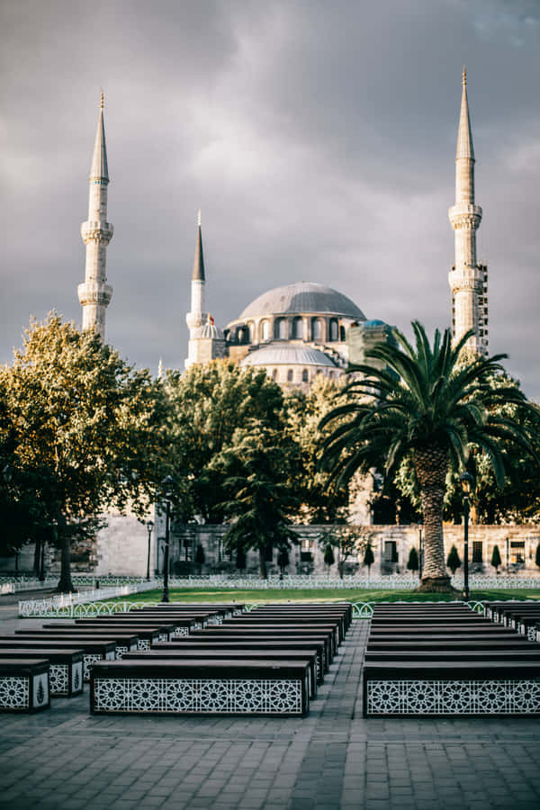 Sultan Ahmed Mosque Many Trees Wallpaper