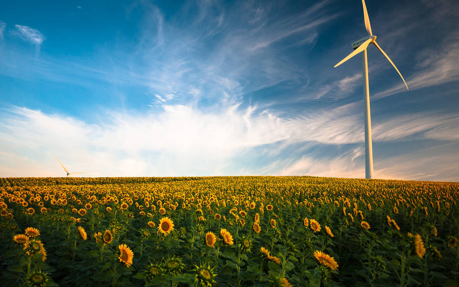 a 2 8 mm macro photo of windmills on grassy rolling | Stable Diffusion |  OpenArt