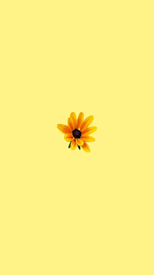 Download free Sunflower Sticker Pastel Yellow Aesthetic Wallpaper ...