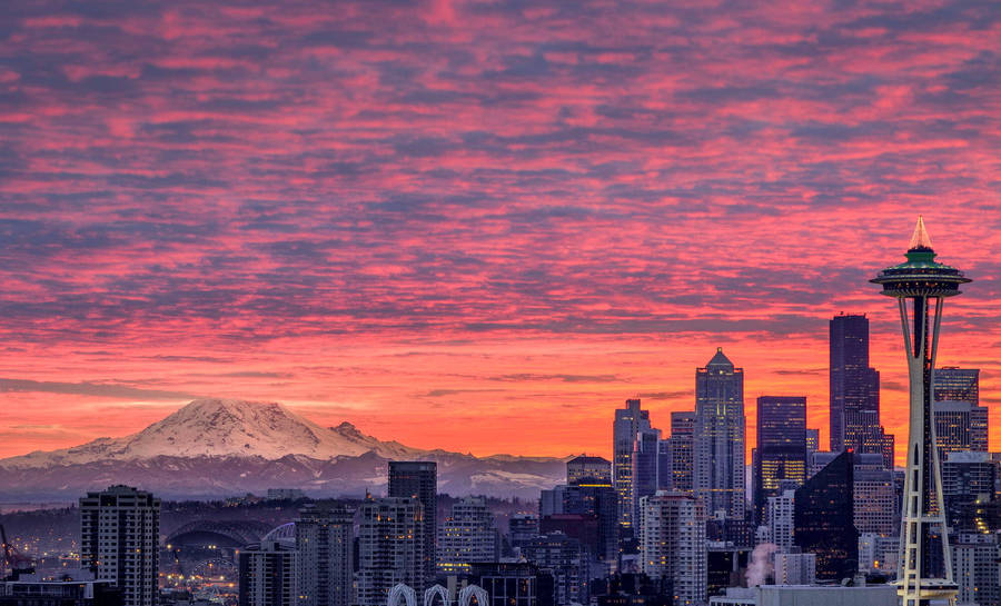 Seattle Skyline iPhone 5 Wallpaper (Inspired by Tron Legacy) - Imgur : r/ Seattle