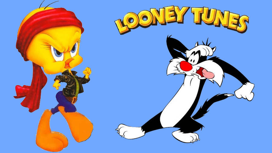 Tweety Bird & Sylvester Cat Looney Tunes Desktop Hd Wallpaper For Pc Tablet  And Mobile Download 1920x1200 : Wallpapers13.com