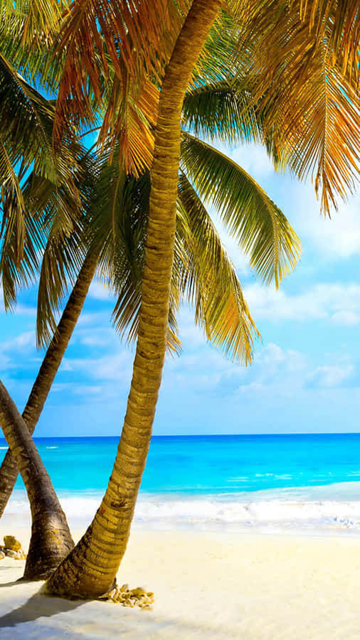 Take A Break And Relax By The Ocean! Wallpaper