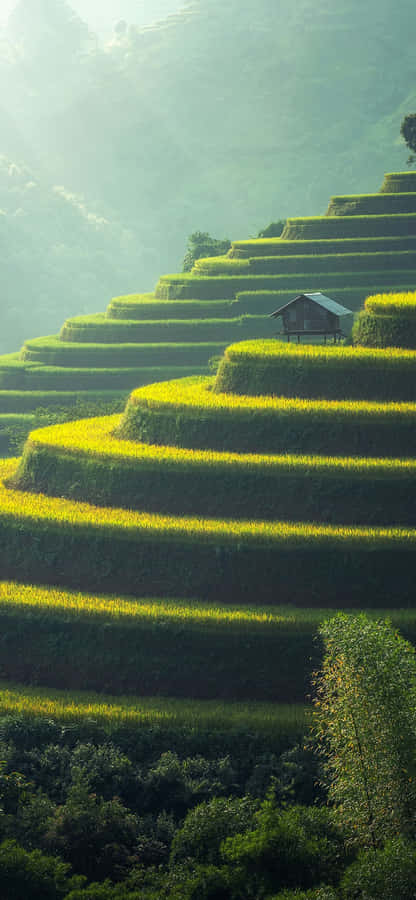 Take Time To Relax And Enjoy Life With Your Iphone Wallpaper