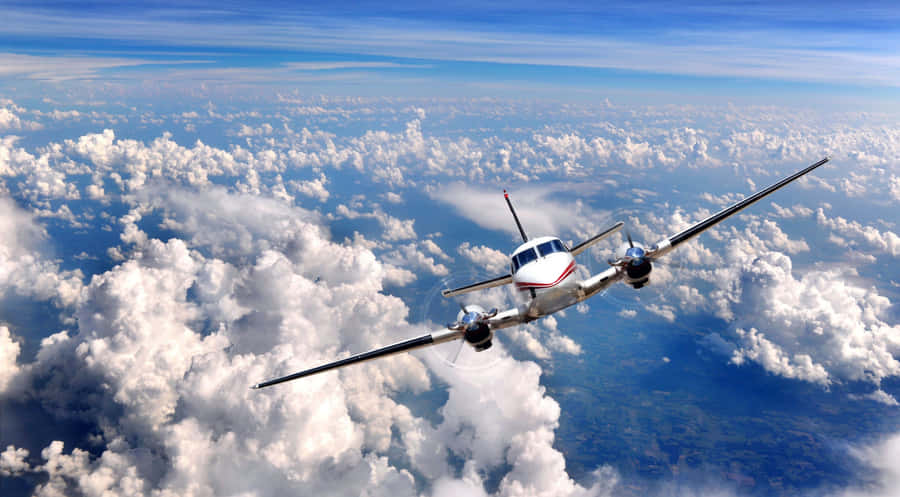 Taking Flight Wallpaper