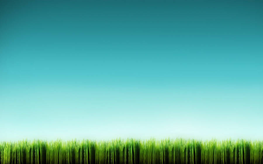 Wallpaper Grass, Spring, Trees, Nature, Grass, Spring, Green field, Trees  for mobile and desktop, section пейзажи, resolution 4172x2693 - download