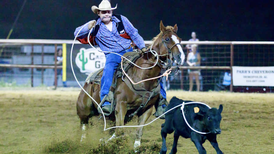 Team Roping A Black Calf Wallpaper