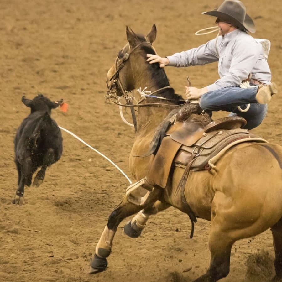 Team Roping Champions Work Together To Achieve Big Things Wallpaper