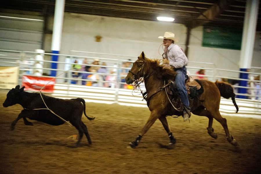 Team Roping, Where Two Become One Wallpaper