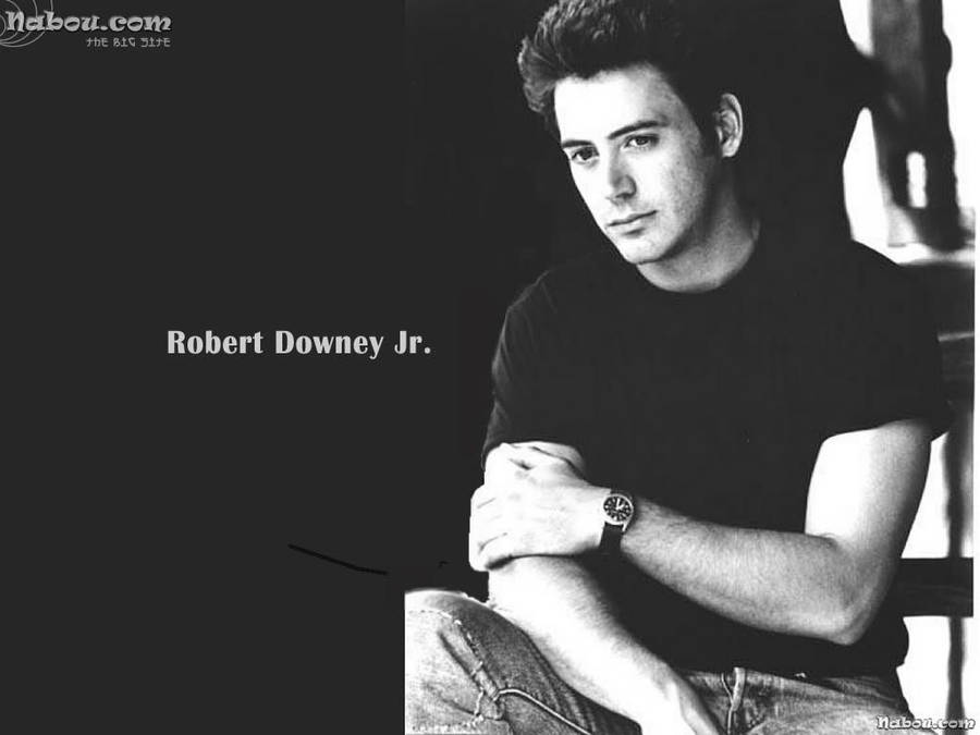 Download free Teenager Robert Downey Jr. Wallpaper - MrWallpaper.com