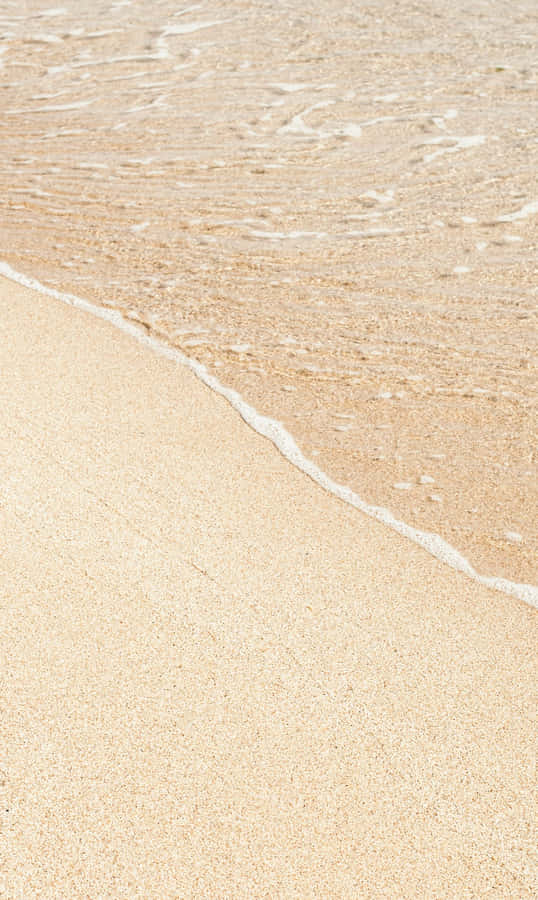 The Beauty Of Brown And White Wallpaper