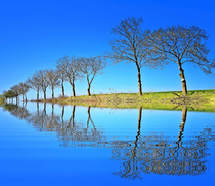 The Beauty Of Nature - A Breathtakingly Beautiful Scene Wallpaper