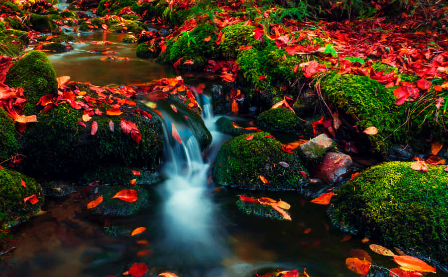 The Fantastic Fall Colors Of A New England Autumn Wallpaper