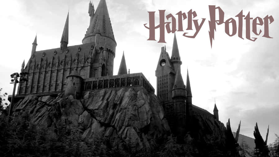 The Heroic Characters Of The Harry Potter Films Wallpaper