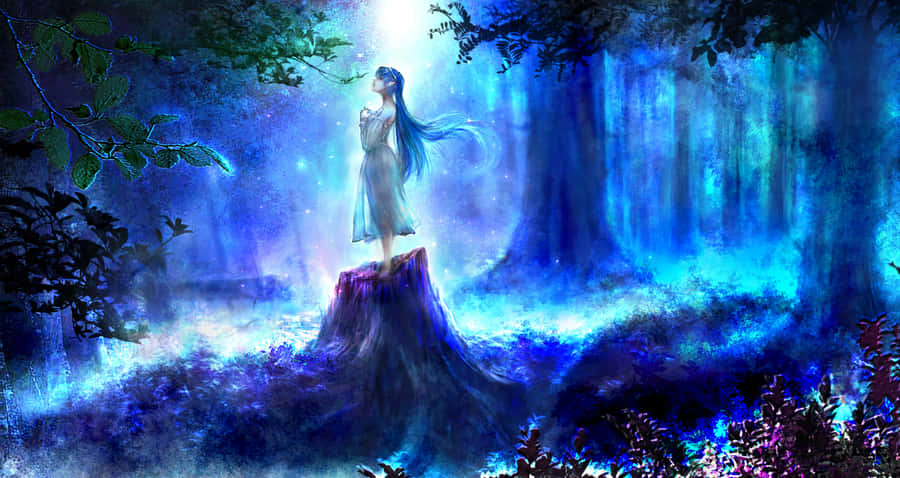 The Mysterious, Mesmerizing Night Forest Wallpaper