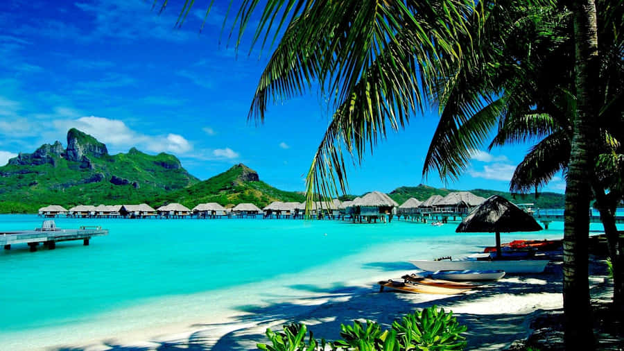 The Perfect Summer Day In The Park. Wallpaper
