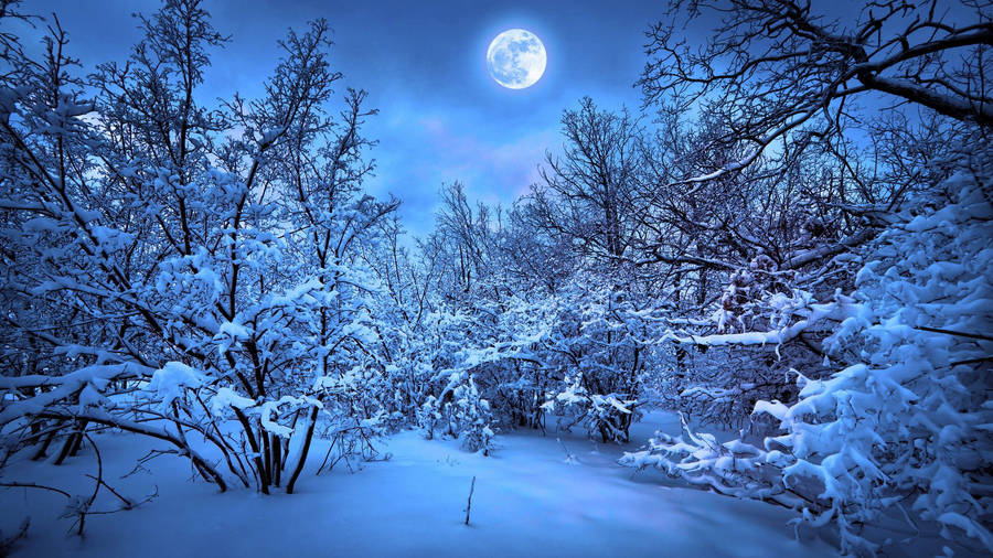 The Serenity Of Falling Snowflakes Wallpaper