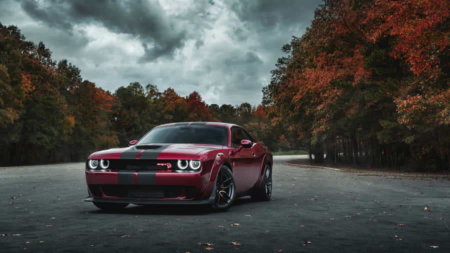 The Striking Dodge Challenger 4k Wallpaper