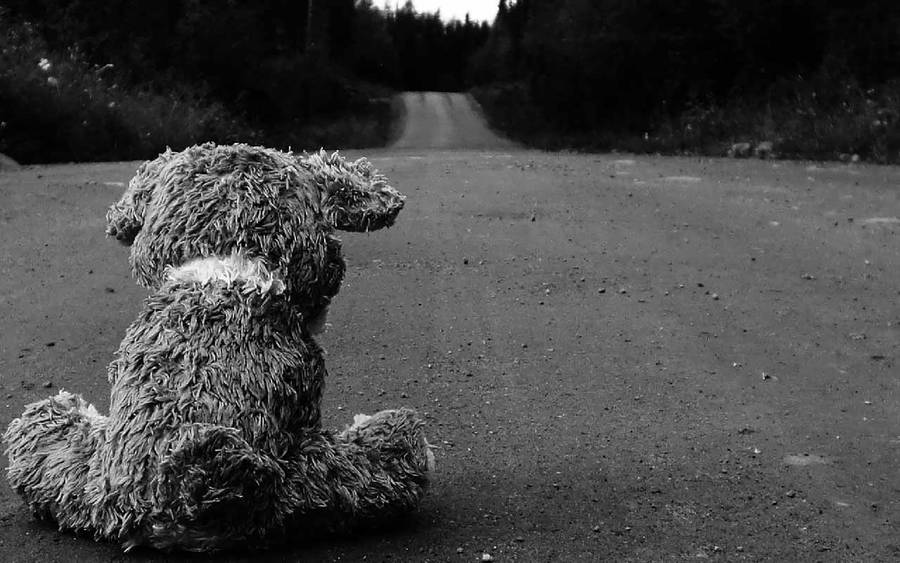 This Sad Teddy Bear Needs A Hug Wallpaper