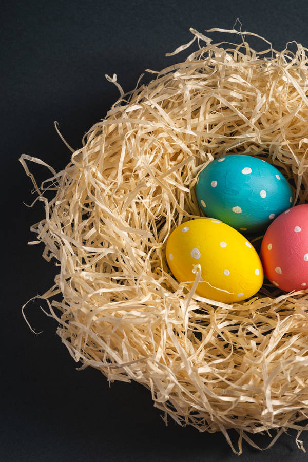 A little cute bird on a bird nest with colorful sparkly eggs is hidden on a  branch. Generative AI 29510942 Stock Photo at Vecteezy