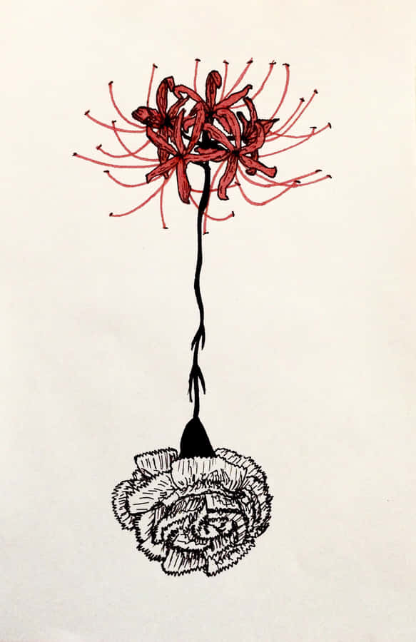 Tokyo Ghoul Flower Link To Rose Wallpaper