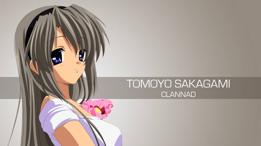 100 Free Clannad HD Wallpapers & Backgrounds - MrWallpaper.com