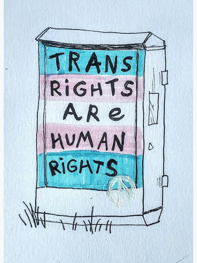 Lady Human Right LGBT Drawing by Vu Nguyen - Fine Art America