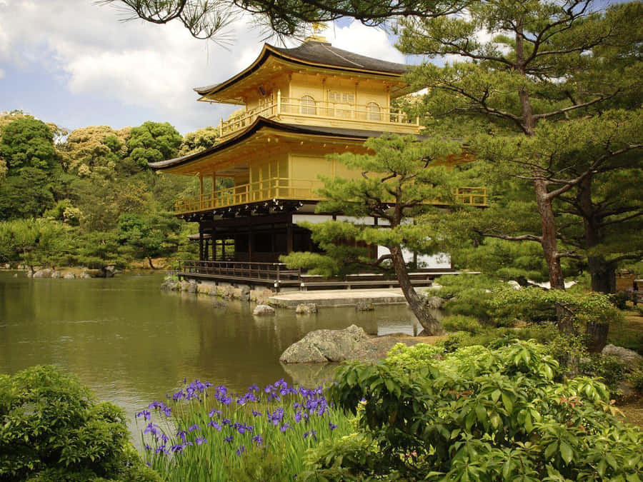 Travel To Japan And Explore Its Beauty Wallpaper