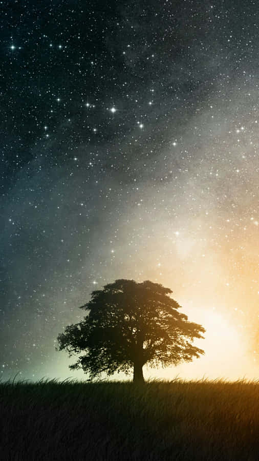 Tree Phone Starry Night Wallpaper