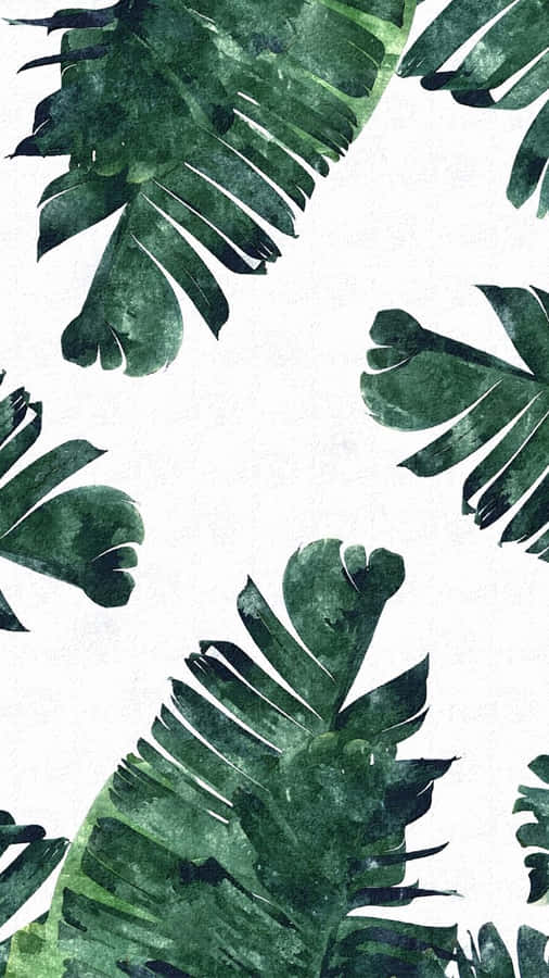 Tropical Aesthetic Banana Leaves Wallpaper