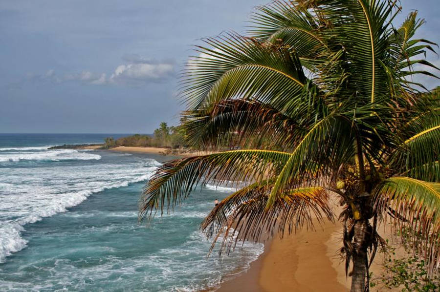 Download free Tropical Beach Island Waves Wallpaper - MrWallpaper.com