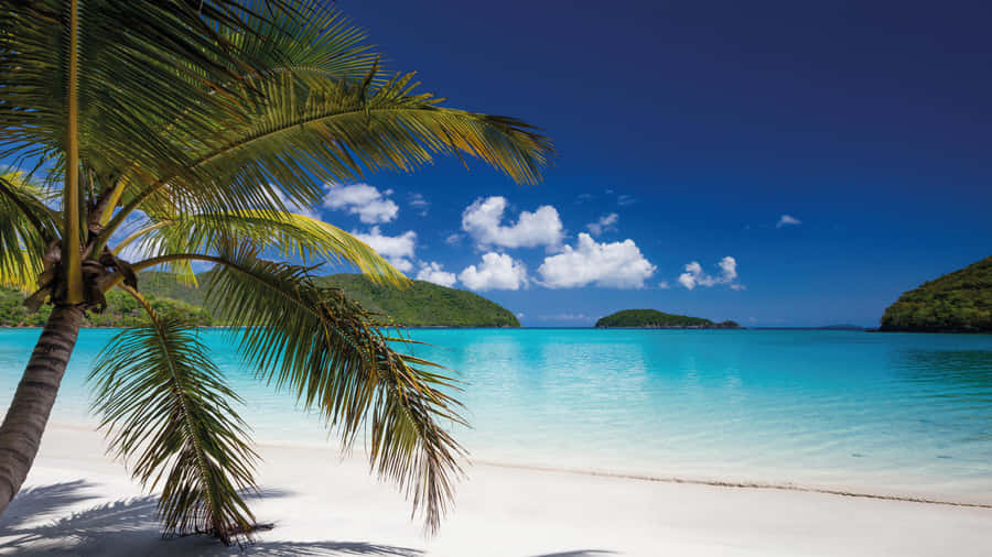 Tropical Beach Paradise Wallpaper