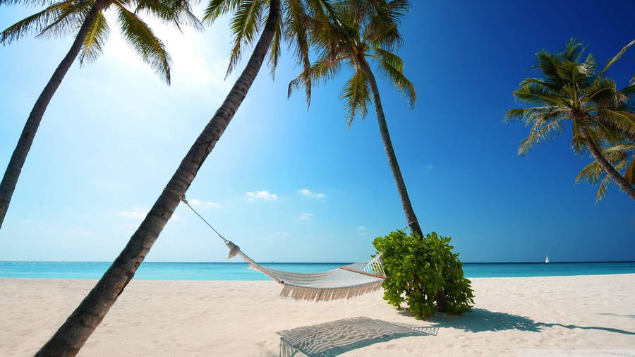 Download free Tropical Beach White Sand Hammock Wallpaper - MrWallpaper.com