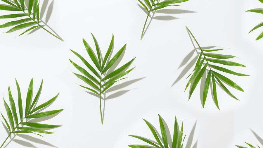 Download free Tropical Minimalist Plant Leaf Pattern Wallpaper ...