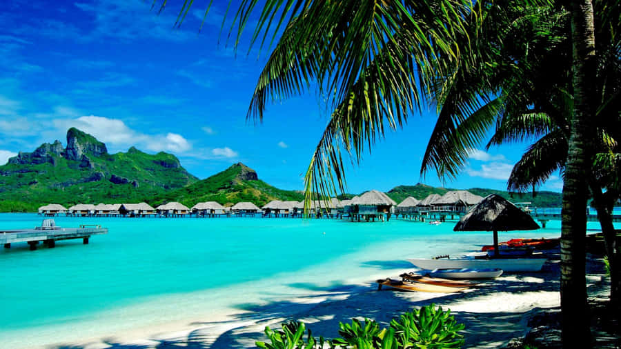 Tropical Paradise4 K Ultra Wide Wallpaper