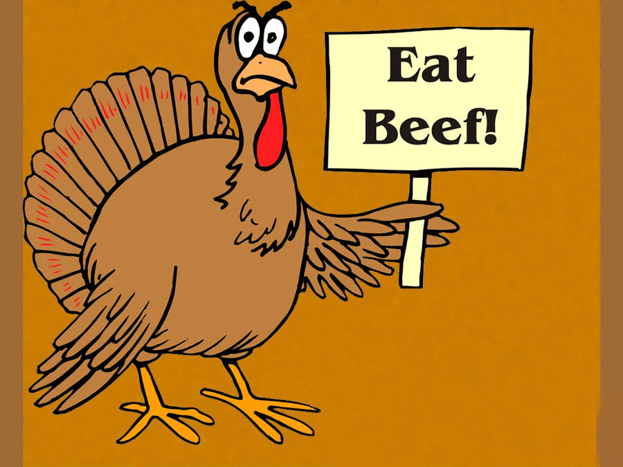 Turkey Happy Thanksgiving 1024 X 768 Wallpaper