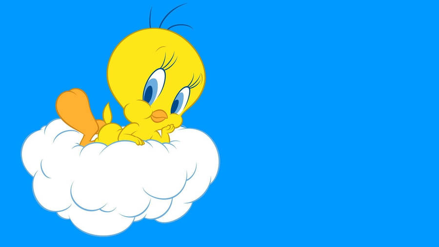 Tweety Bird  Looney tunes wallpaper, Tweety bird drawing, Tweety