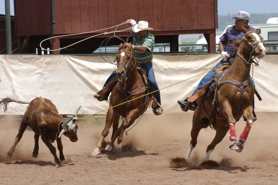 Two Competitors Enter The Arena For Team Roping Wallpaper