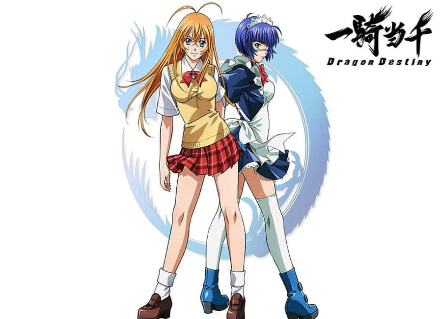 Two Powerful Warriors Clash In An Epic Showdown In Ikki Tousen Wallpaper