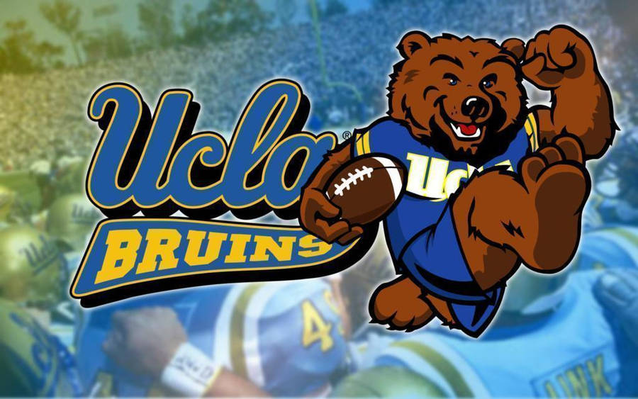 Download free Ucla Bruins Brown Bear Wallpaper - MrWallpaper.com