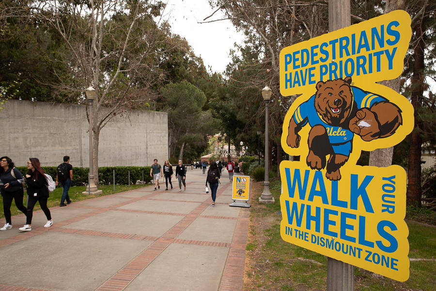 Download free Ucla Walk Your Wheels Wallpaper - MrWallpaper.com