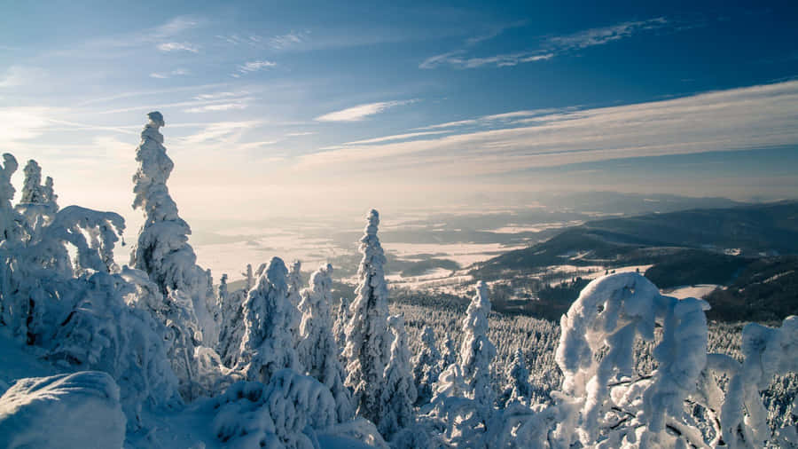 Ultra Wide Nature Snow Wallpaper