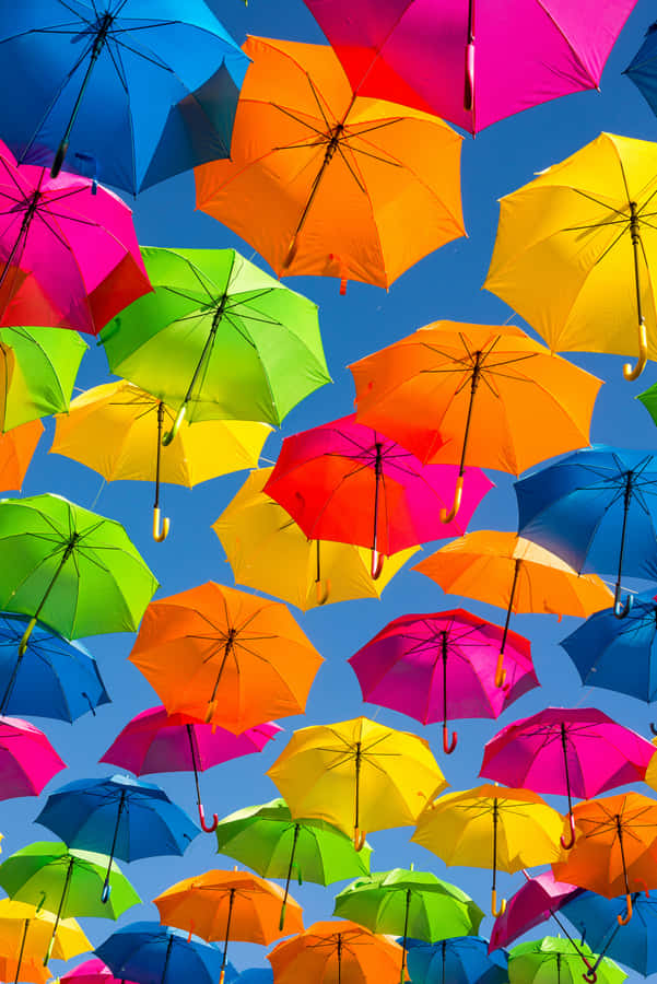 Unbelievably Colorful Rainbow Painted Wall Wallpaper