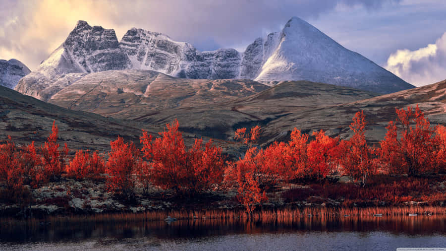 Unending Mountains And Clear Blue Skies Wallpaper