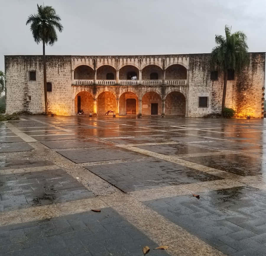 Unforgettable Beauty Of Alcazar De Colon Adorned With Palm Trees Wallpaper