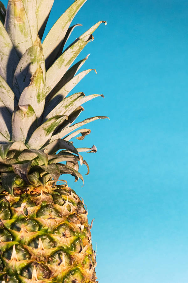 Upgrade With A Bit Of Sweetness - The Pineapple Iphone Wallpaper